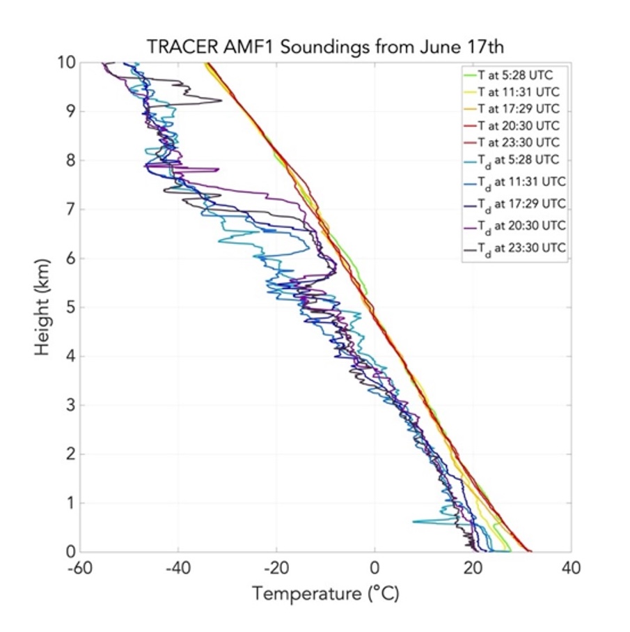 TRACER MIP Figure A1